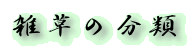 �G���̕���